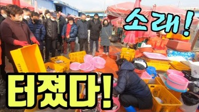 인천 소래포구 가볼만한곳 어시장 수산시장 난전 횟감 소래포구어시장 갈만한곳