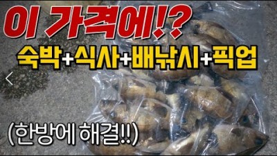 통영사량면 상도 풀코스로 숙박,식당,어업,뽈낚,장어,배낚시까지 팬션운영