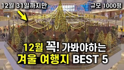 12월 크리스마스 가볼만한곳 명동성당,신세계백화점,롯데백화점,더현대백화점,별마당도서관 겨울여행 갈만한곳
