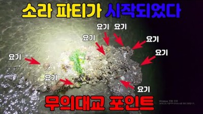 서울근교 영종도 무의도 해루질, 소라, 갯가재, 골뱅이 야간 해루질 정보