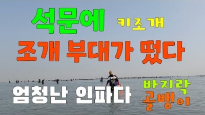 충청도 당진 여행 가볼만한곳 석문방조제 바지락 키조개 바다 해루질 갈만한곳