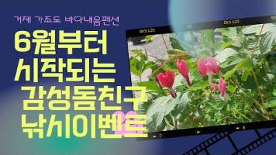 거제 가조도 낚시여행 바다내음펜션 가볼만한곳 추천
