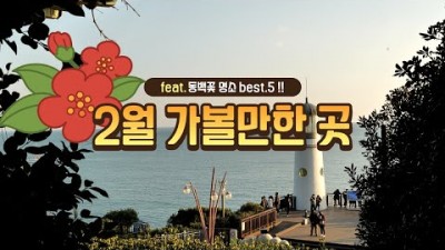 2월여행지 가볼만한곳 동백꽃 명소 강진 여수 서천 고창 부산 갈만한곳