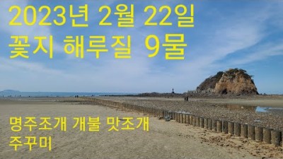 서해 해루질 여행 꽃지해수욕장 가볼만한곳 명주조개해루질 맛조개해루질 주꾸미 먹거리 바다해루질 갈만한곳