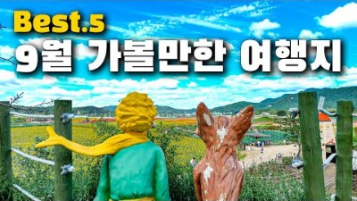 가을에 드라이브 정말 멋진 여행지 소개 갬성 넘치는 여행지 다섯 곳 추천