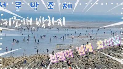 충남 당진 해루질 석문방조제 해루질 여행 가볼만한곳 키조개 박하지 해루질 포인트 갈만한