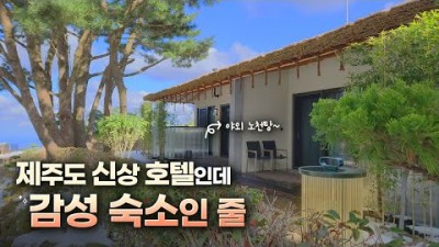 제주도 여행 감성숙소 특급호텔 엠버퓨어힐 호텔앤리조트 앰버퓨어힐 힐리숙소 여행 갈만한곳