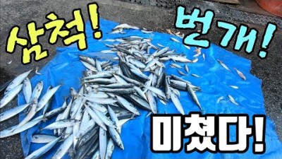 삼척어시장 여행,맛집 가볼만한곳 번개시장 가성비 자연산횟감 수산시장 삼척 갈만한곳